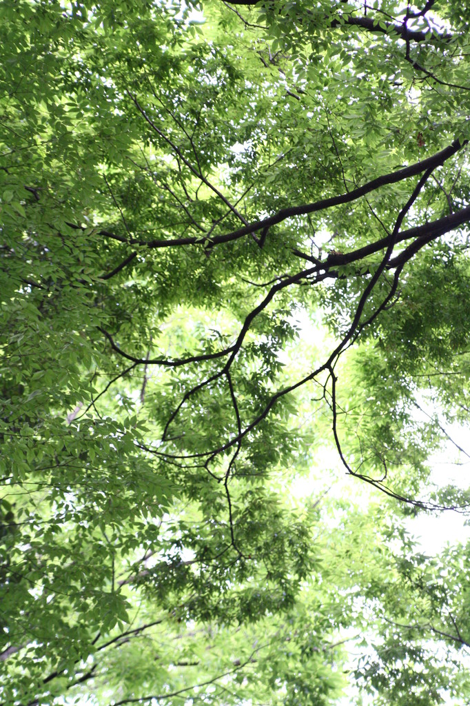 20080626_003