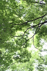 20080626_003