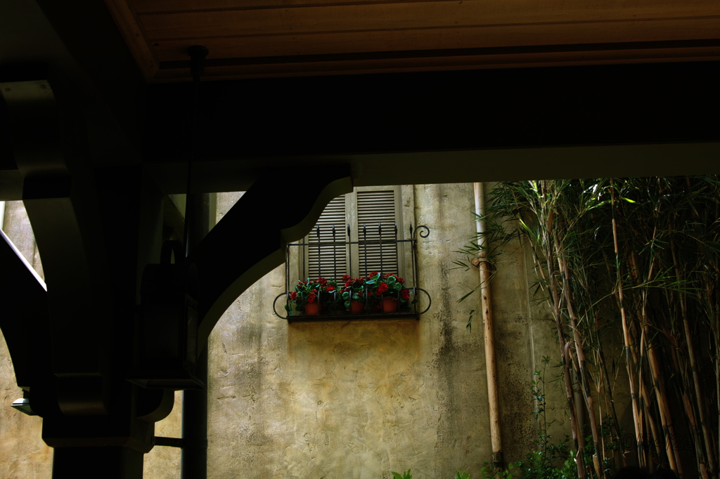 20100429_096
