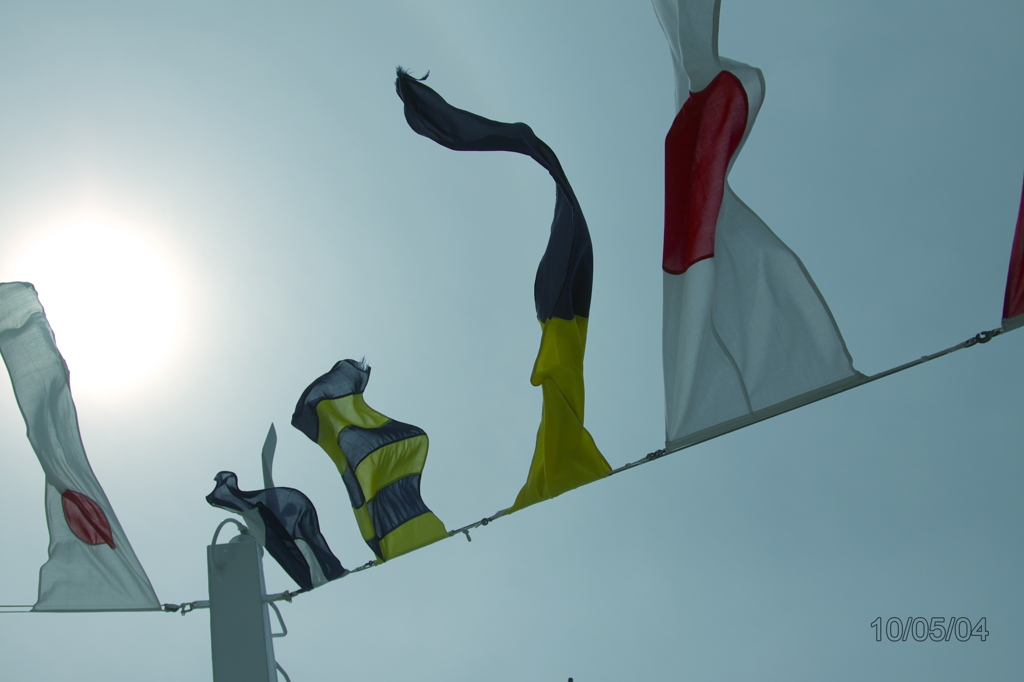 Flags...