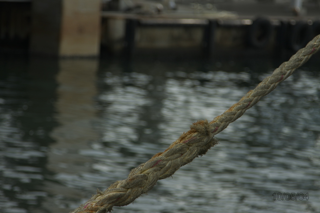 20100504_097