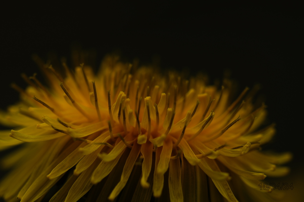 20100424_017