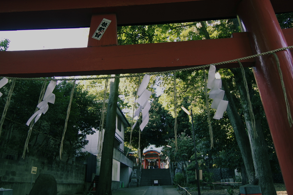 20100925_025