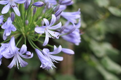 20080621_047
