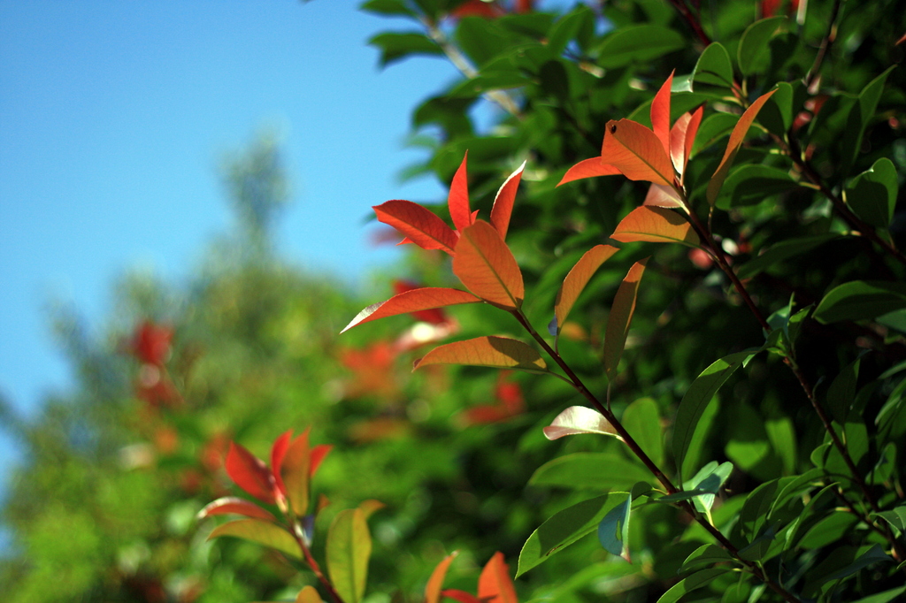 20081004_005