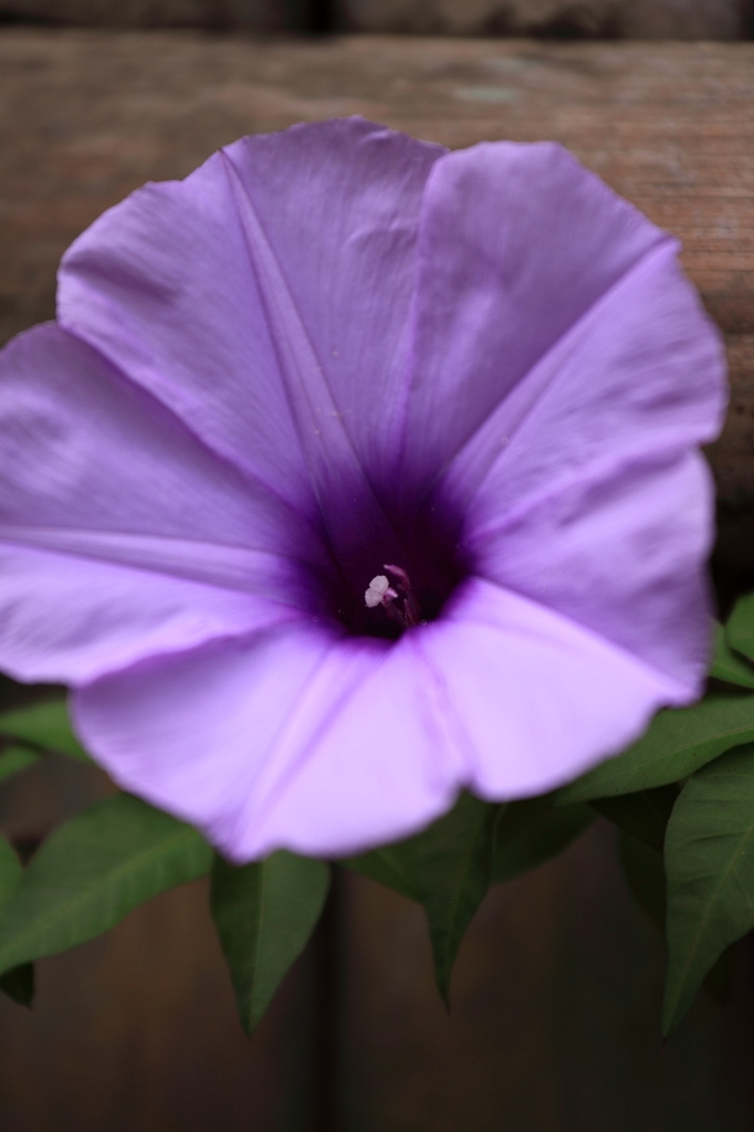 20090711_005
