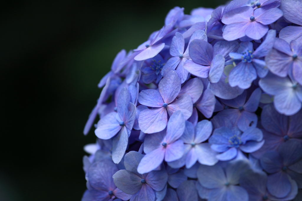 20090705_032