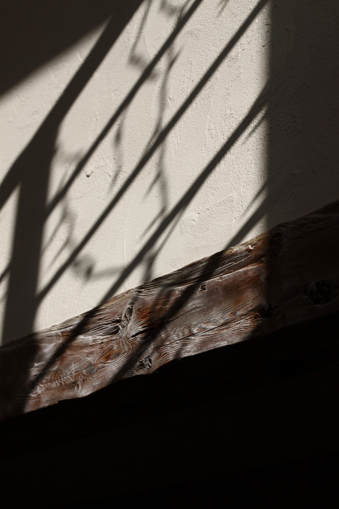 shadow on the wall