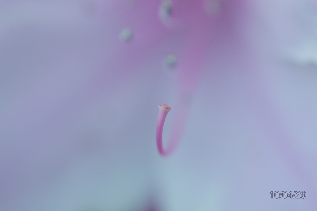 20100429_122