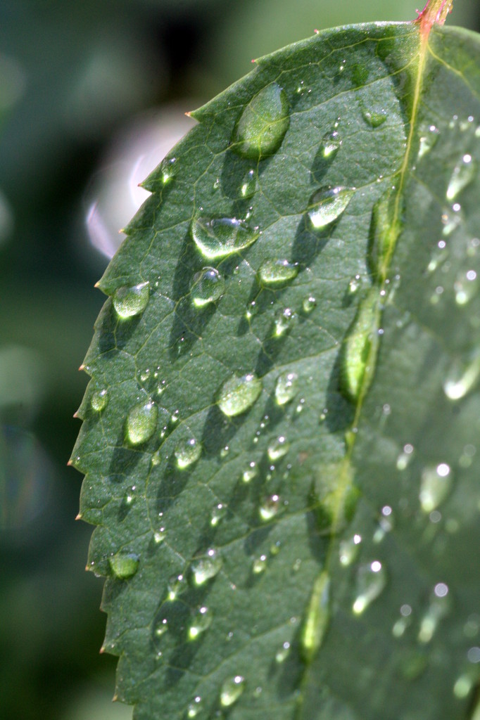 20081005_021