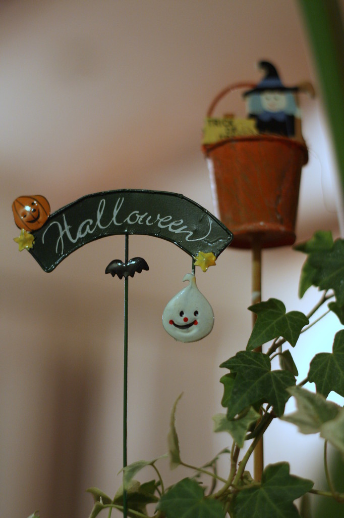 20081010_0001