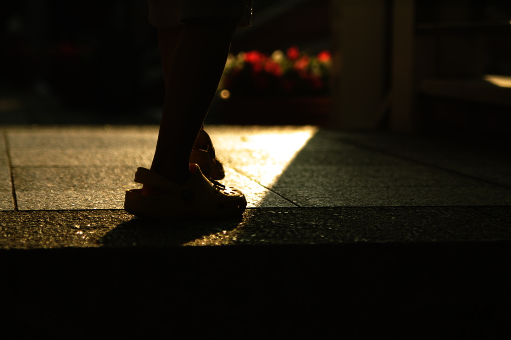 Light and Shadow