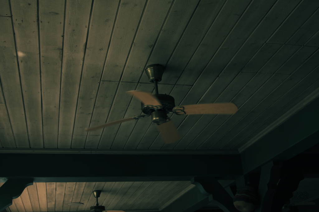 FAN