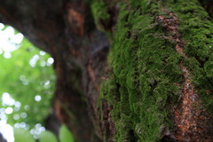 20080628_039