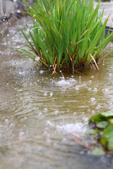 20080621_038