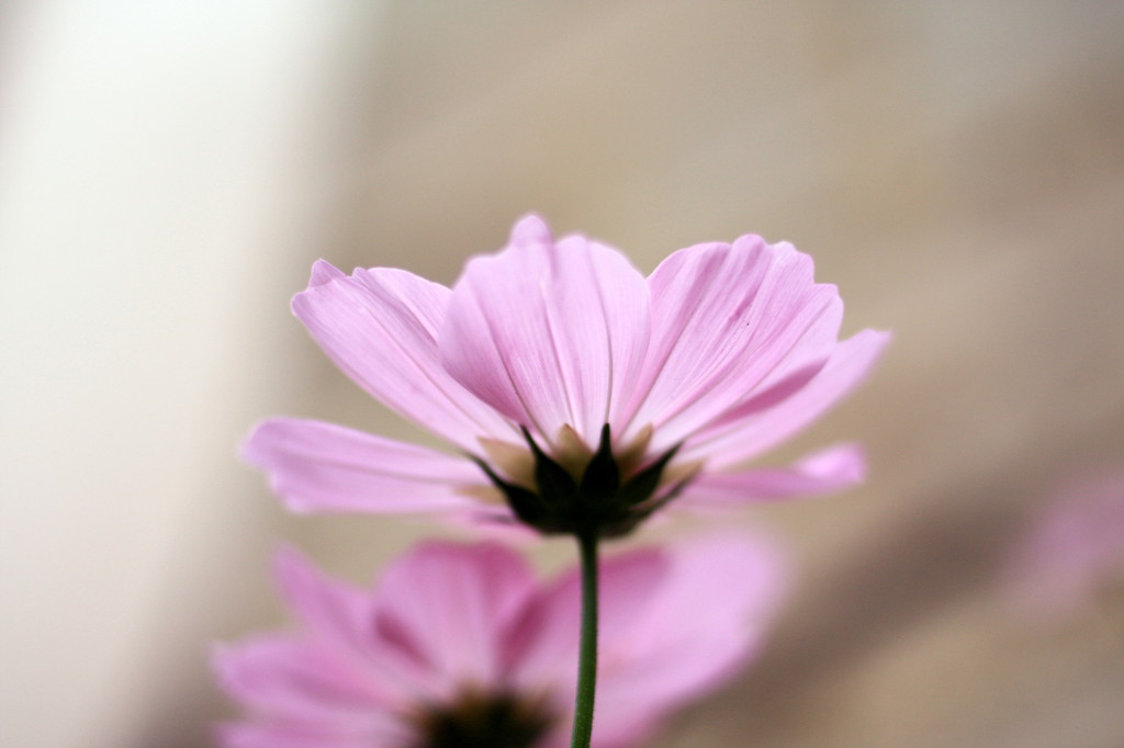 20080928_038