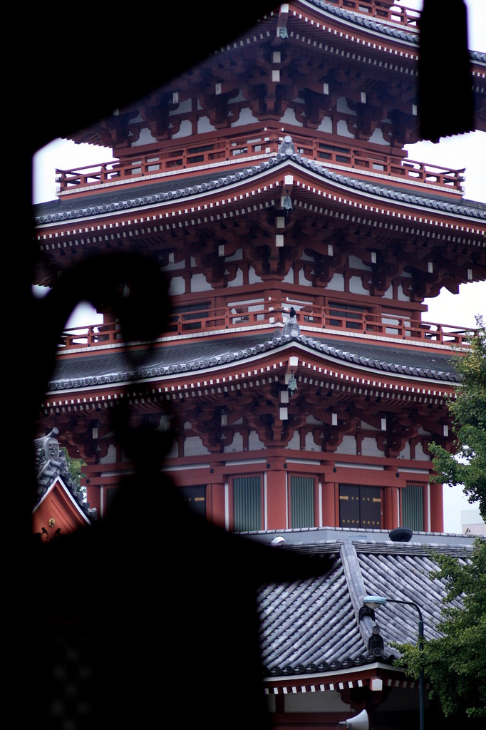 20081109_050