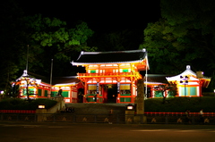 八坂神社、定点観測。