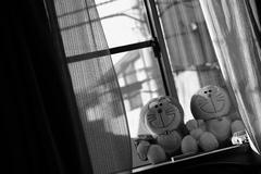 自分の部屋。