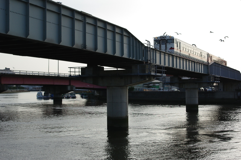 IMGP7252tr1