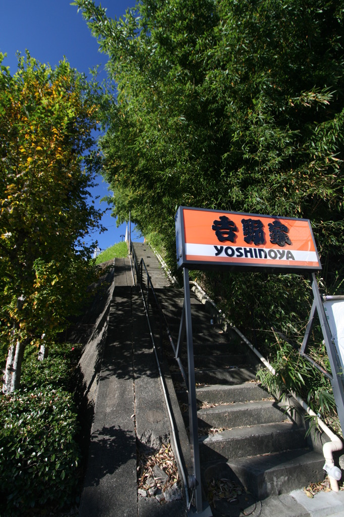 参道のよう