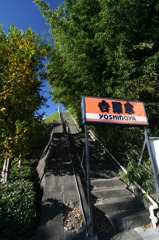 参道のよう