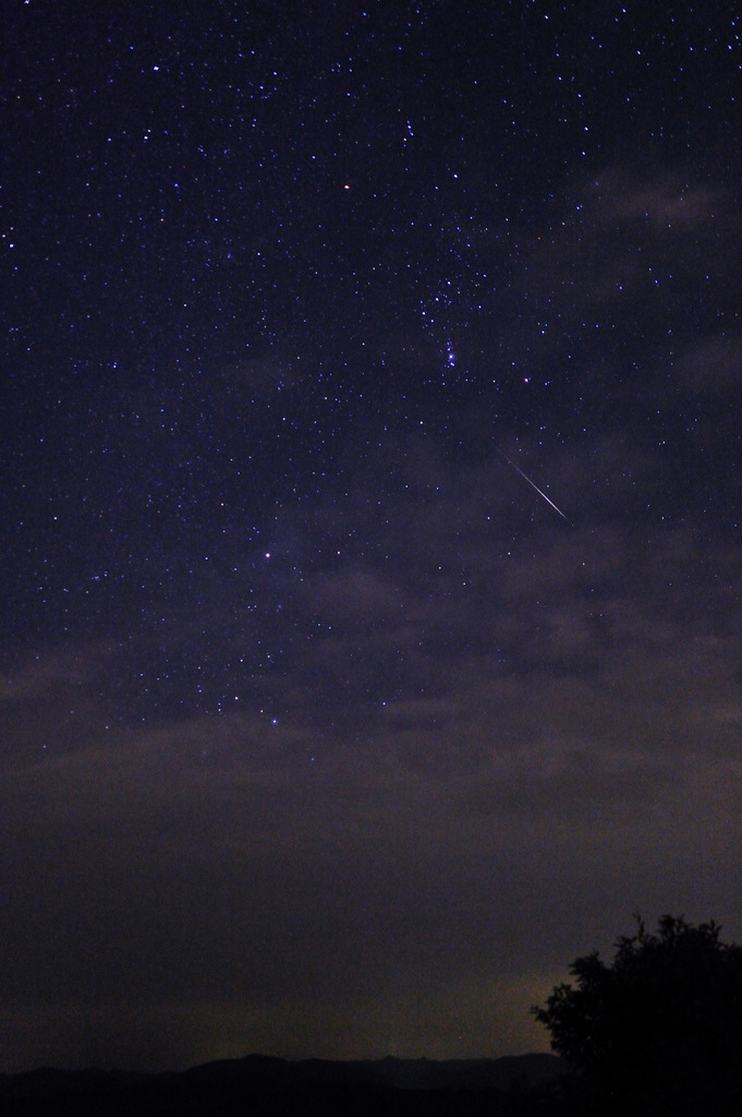 ふたご座流星群！