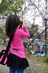 桜撮り！