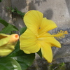 RIMG0177