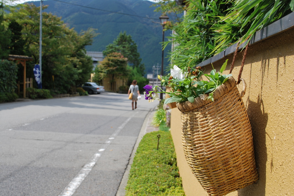 散歩道