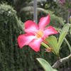 RIMG0259
