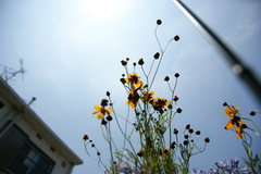 DSC01906