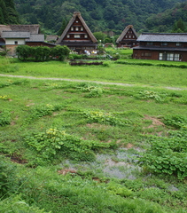 田園