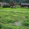 田園