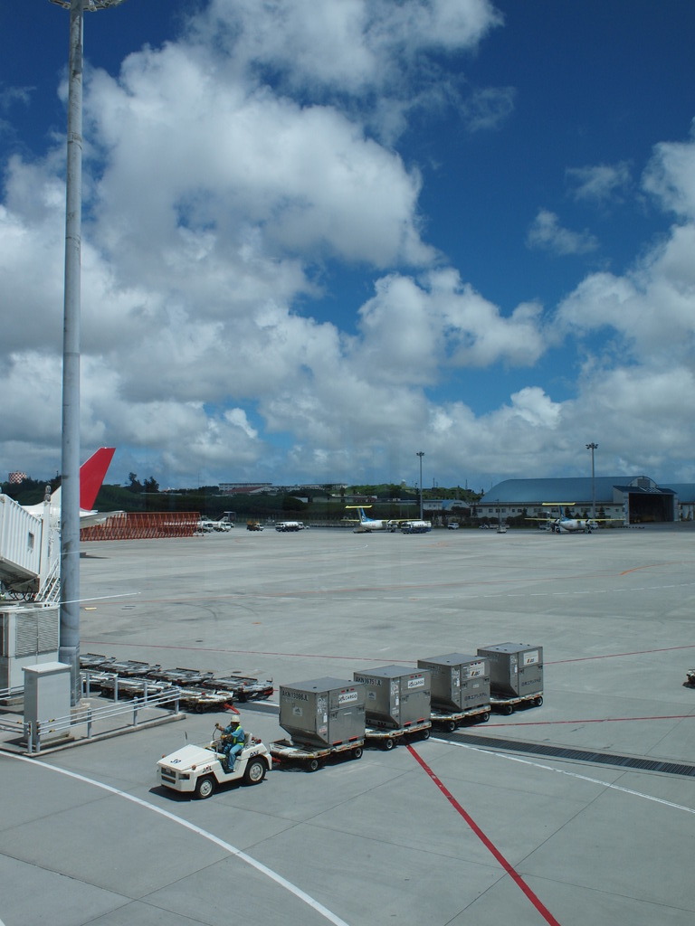 Okinawan blue