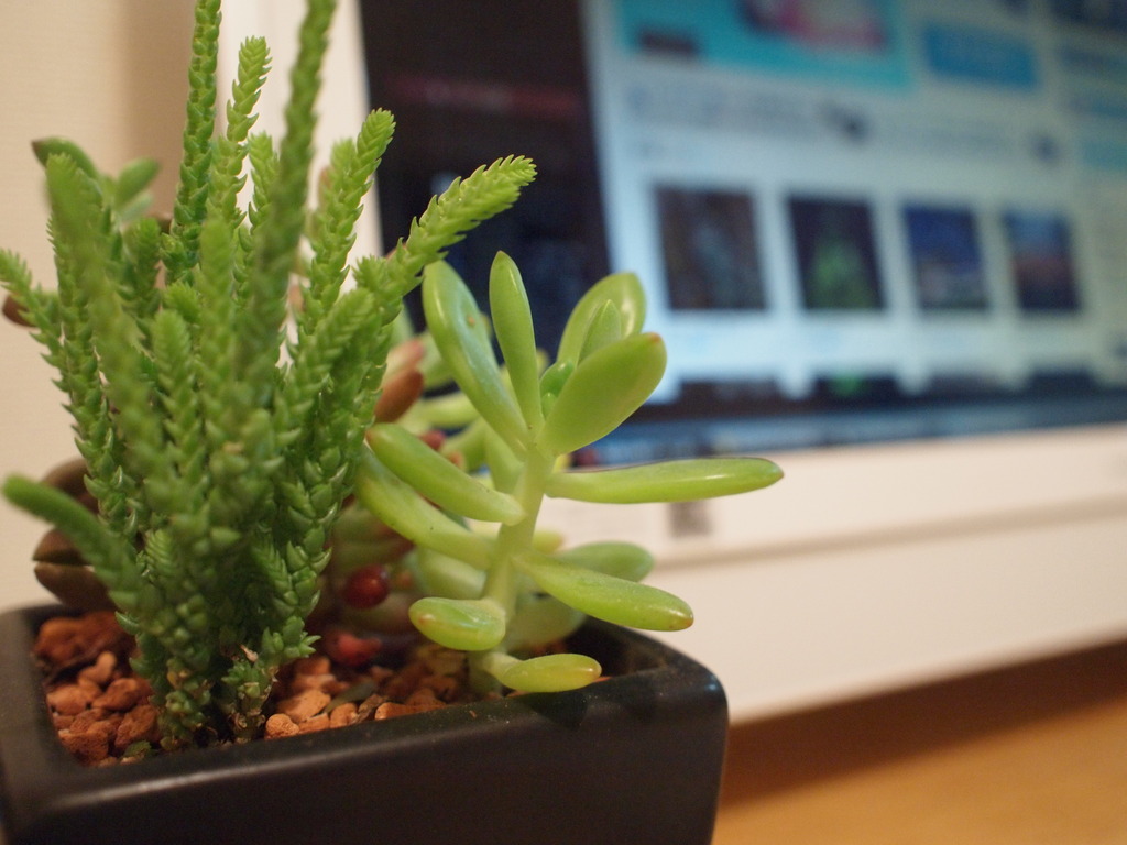 desktop healing