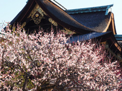 早春の北野天満宮