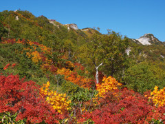燕山荘と紅葉
