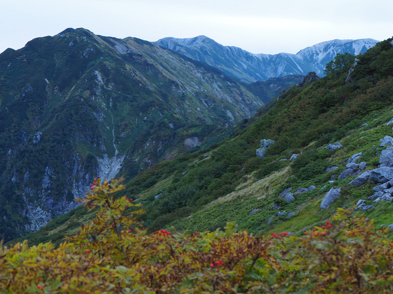 奥大日岳、立山連峰の稜線