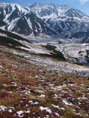 立山を望む