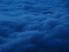 夜明け前の雲海