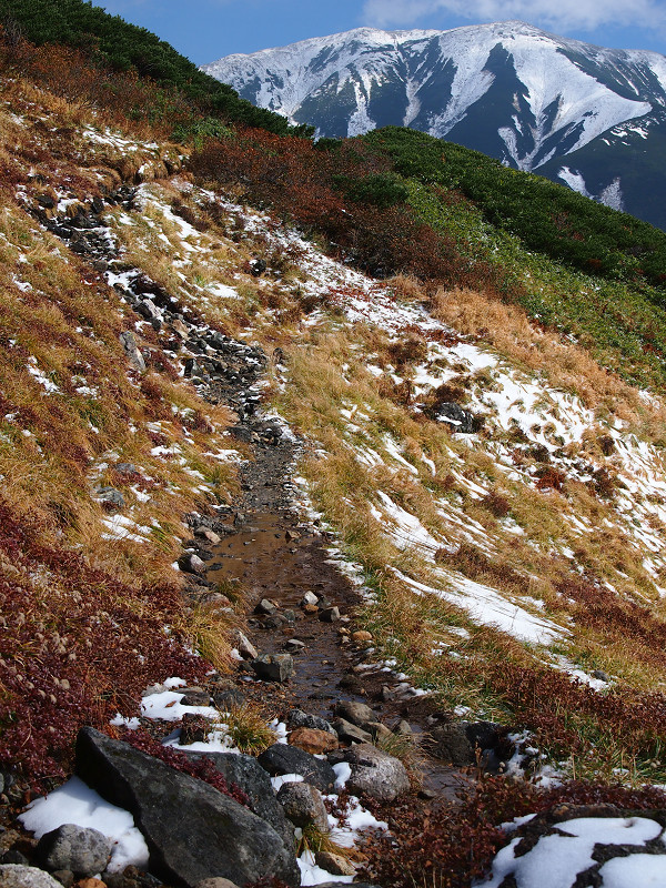 登山道