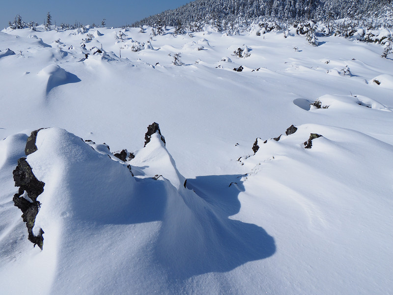 雪原