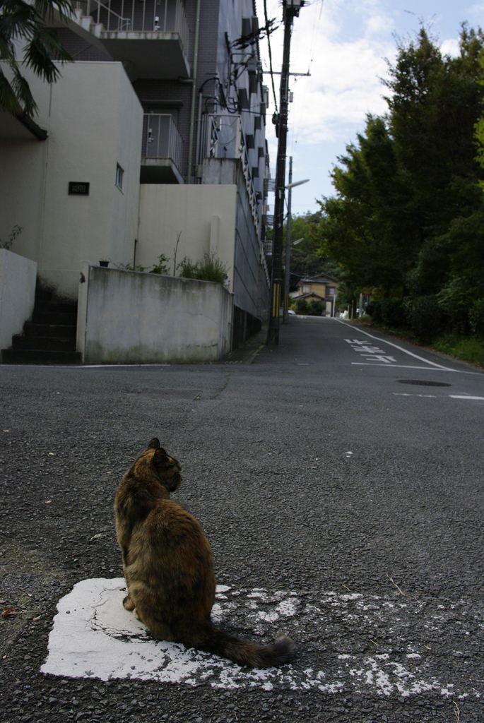 安全確認。右見て、…_IMG0098