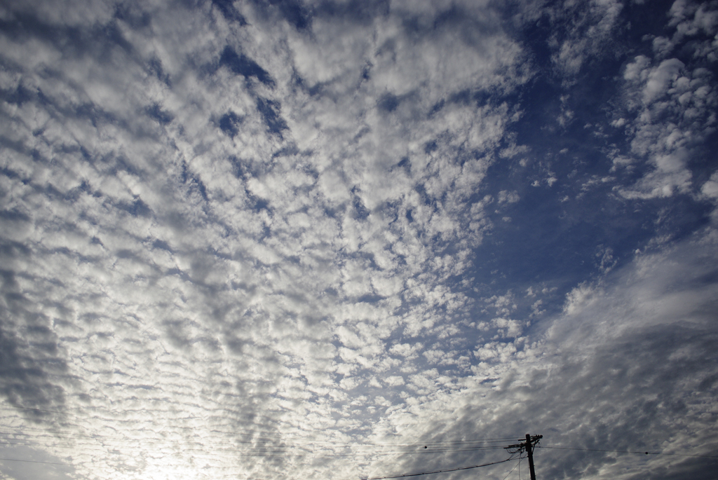 秋空に鰯雲_IMG1149