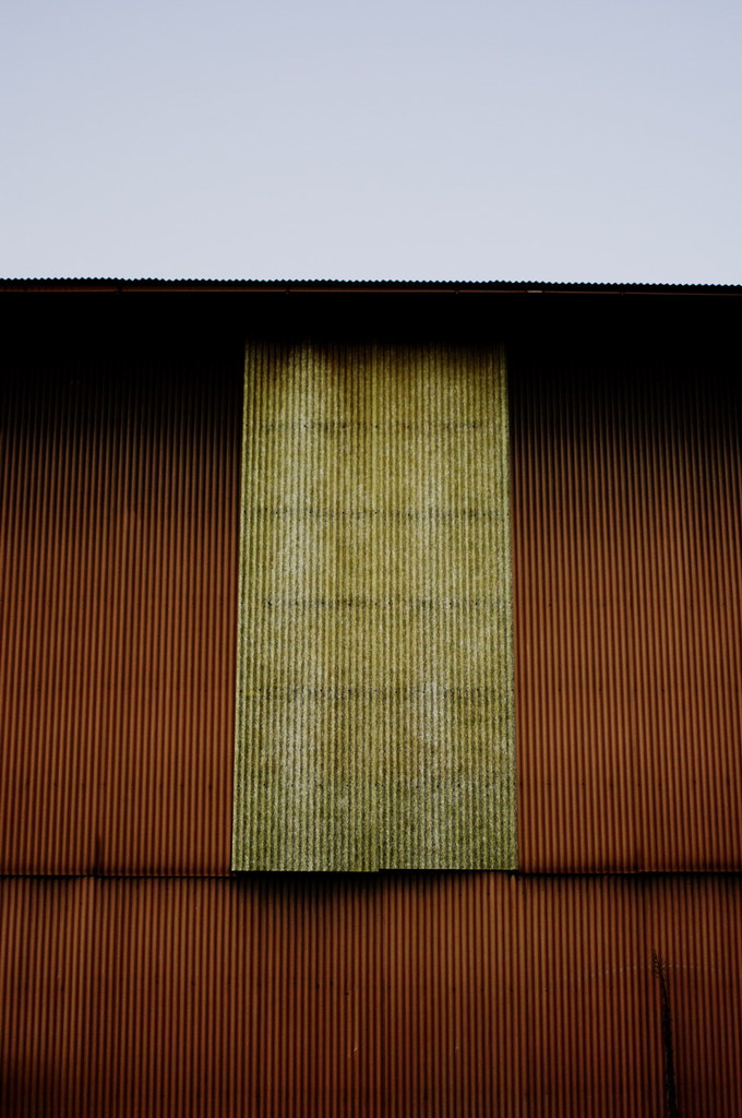 _IMG3351