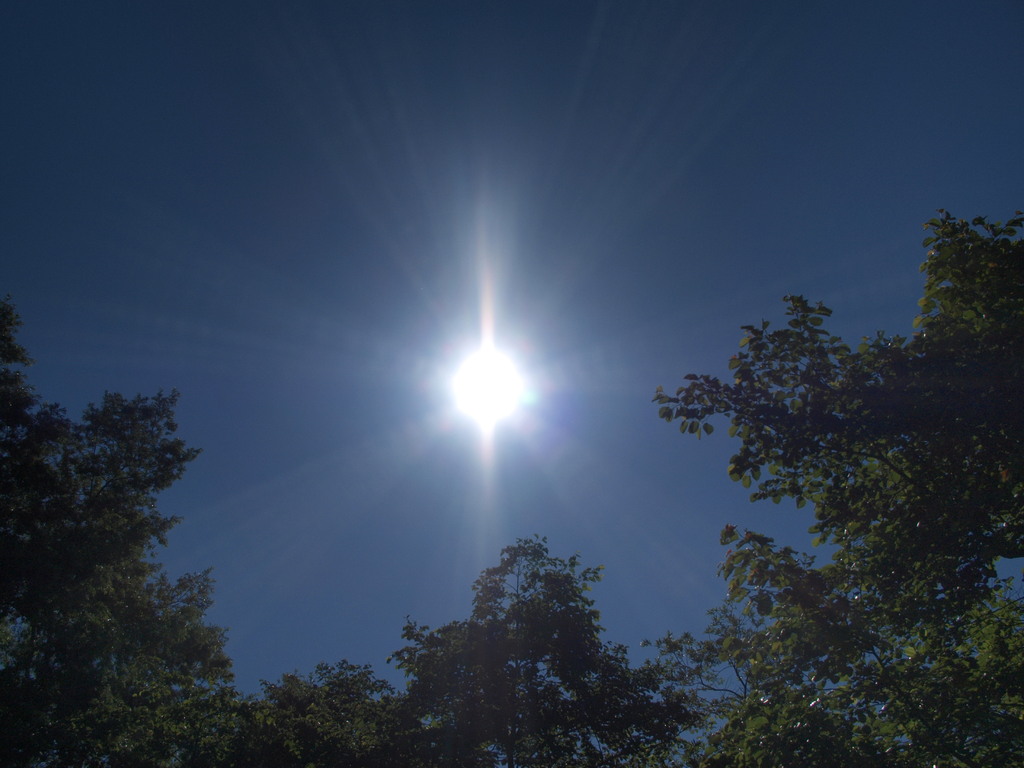 夏の日差し