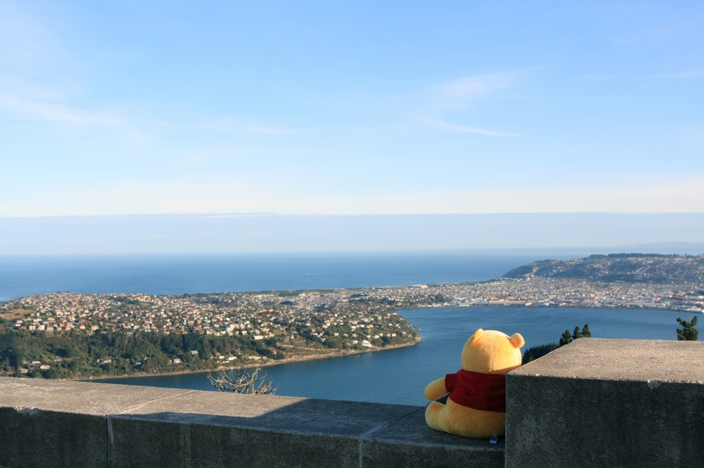 Pooh on the Signal Hill