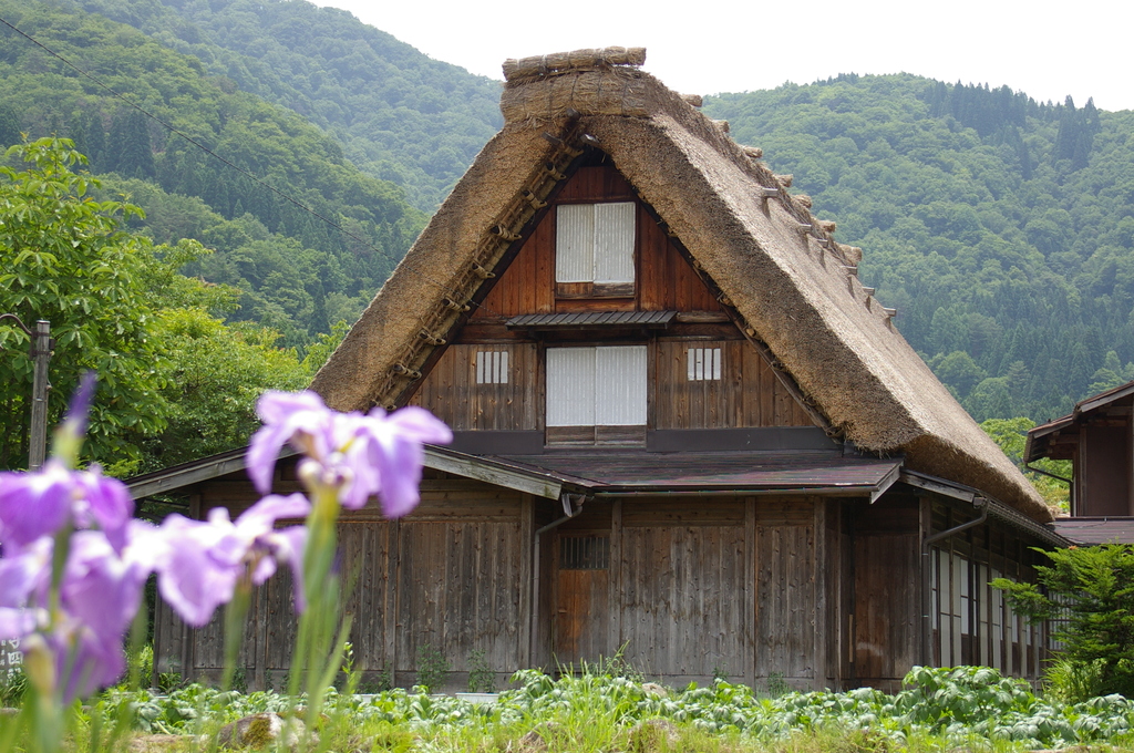 白川郷①