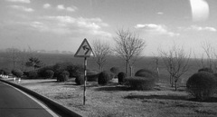 20081229054
